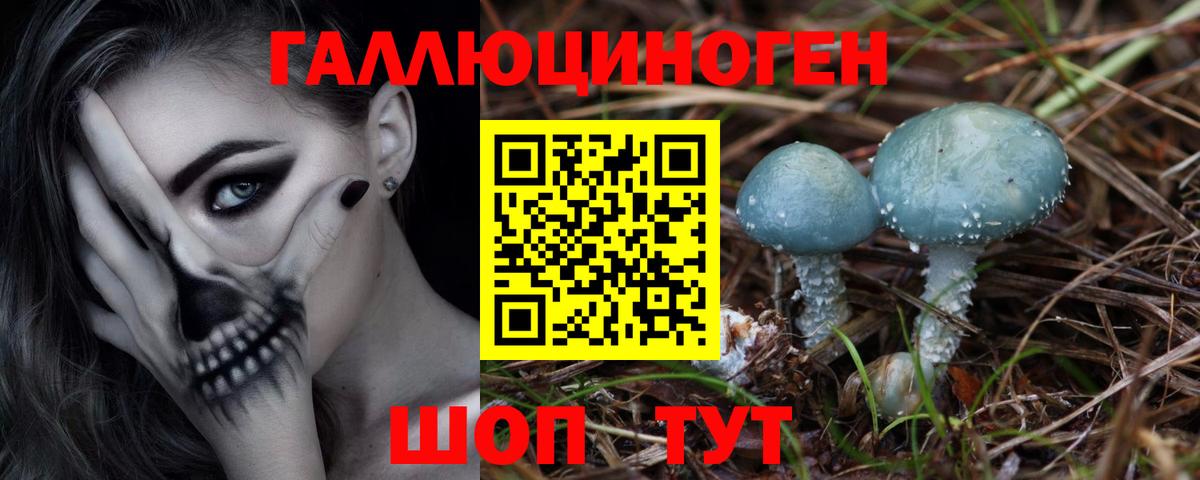 Галлюциногенные грибы GOLDEN TEACHER Вятские Поляны